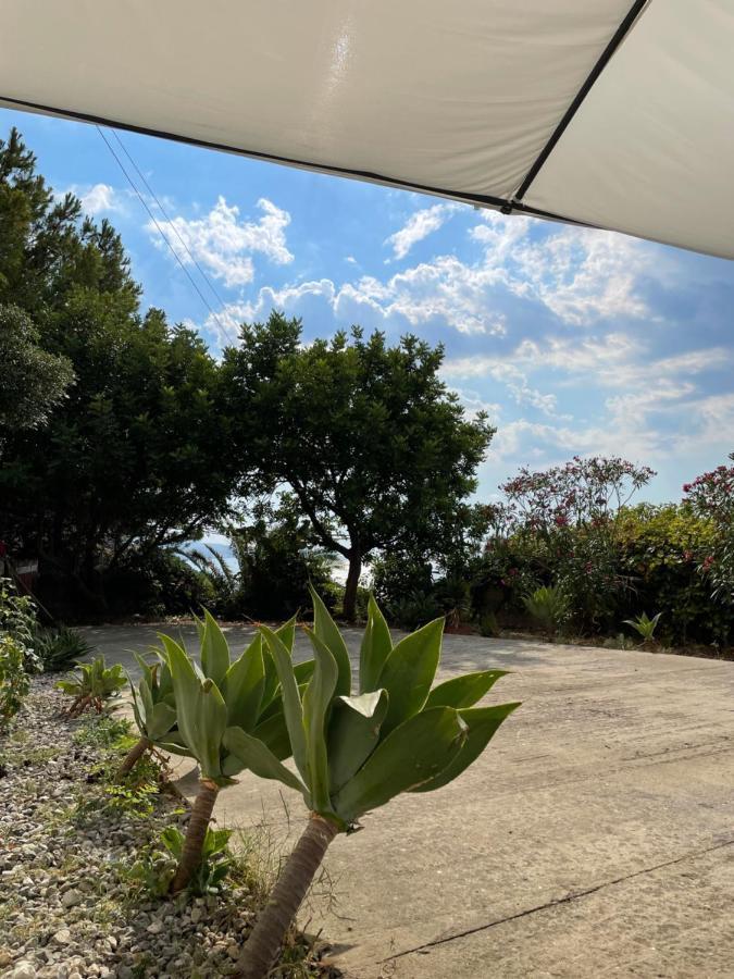 הוילה פיצו Casa Vacanze Piedigrotta מראה חיצוני תמונה
