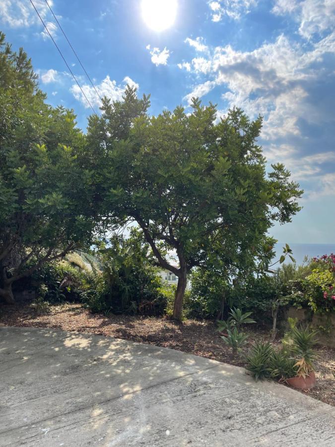 הוילה פיצו Casa Vacanze Piedigrotta מראה חיצוני תמונה